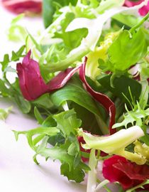 Healthy Salad Recipes Healthy Salad Recipes