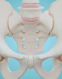 Overactive Bladder and the Role of the Pelvic Floor Muscles Overactive Bladder and the Role of the Pelvic Floor Muscles