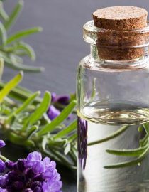 Four Natural Remedies to Help Improve OAB Symptoms Four Natural Remedies to Help Improve OAB Symptoms